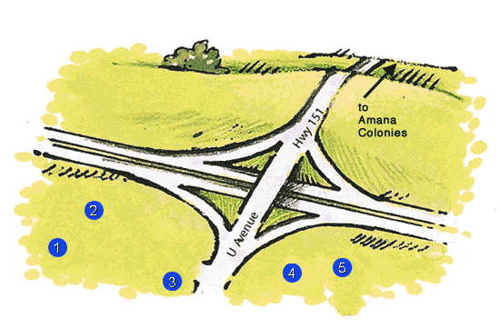 Click on the circles below for more information about these businesses.